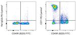 CD71 (Transferrin Receptor) Antibody in Flow Cytometry (Flow)