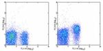 CD127 Antibody in Flow Cytometry (Flow)