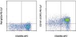 CD197 (CCR7) Antibody in Flow Cytometry (Flow)