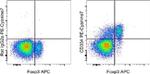 CD304 (Neuropilin-1) Antibody in Flow Cytometry (Flow)