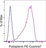 Podoplanin Antibody in Flow Cytometry (Flow)