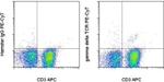 TCR gamma/delta Antibody in Flow Cytometry (Flow)