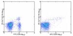 FOXP3 Antibody in Flow Cytometry (Flow)