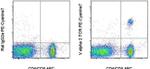 TCR V alpha 2 Antibody in Flow Cytometry (Flow)