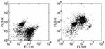 CD93 (AA4.1) Antibody in Flow Cytometry (Flow)