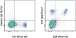 TCR beta Antibody in Flow Cytometry (Flow)