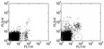 CD49b (Integrin alpha 2) Antibody in Flow Cytometry (Flow)