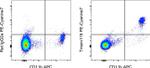 Tmem119 Antibody in Flow Cytometry (Flow)