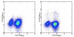 IL-4 Antibody in Flow Cytometry (Flow)