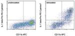 IL-1 beta (Pro-form) Antibody in Flow Cytometry (Flow)