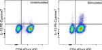 IL-13 Antibody in Flow Cytometry (Flow)