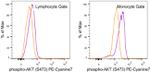 Phospho-AKT1 (Ser473) Antibody in Flow Cytometry (Flow)