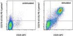 CD278 (ICOS) Antibody in Flow Cytometry (Flow)