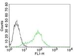 Ku (p70/p80) (Nuclear Marker) Antibody in Flow Cytometry (Flow)