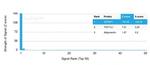 SERBP1/PAI-RBP1 Antibody in Peptide array (ARRAY)