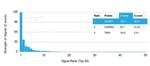 SERBP1/PAI-RBP1 Antibody in Peptide array (ARRAY)