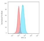 GFAP (Astrocyte and Neural Stem Cell Marker) Antibody in Flow Cytometry (Flow)