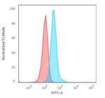 GFAP Antibody in Flow Cytometry (Flow)