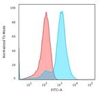 Glypican-3 (GPC3) Antibody in Flow Cytometry (Flow)