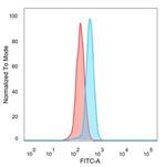 ZC3H7A (Transcription Factor) Antibody in Flow Cytometry (Flow)