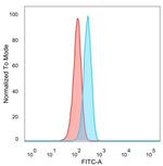 GTF2A1/ TFIIA (Transcription Factor) Antibody in Flow Cytometry (Flow)