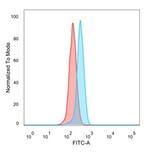 GTF2H2/BTF2/TFIIH Basal Transcription Factor Antibody in Flow Cytometry (Flow)