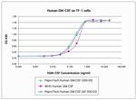 Human GM-CSF Protein in Functional Assay (Functional)