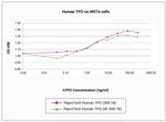 Human TPO (Thrombopoietin) Protein in Functional Assay (Functional)