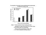 Human I-309 (CCL1) Protein in Functional Assay (Functional)