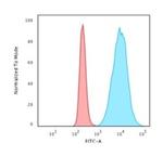 Histone H1 (Pan Nuclear Marker) Antibody in Flow Cytometry (Flow)