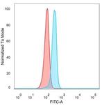 HDGF Antibody in Flow Cytometry (Flow)