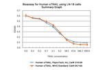 Human TRAIL (TNFSF10) (soluble) Protein in Functional Assay (Functional)