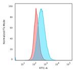 HLA-DP (MHC II) Antibody in Flow Cytometry (Flow)