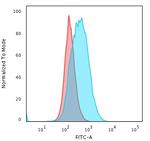 HLA-DP (MHC II) Antibody in Flow Cytometry (Flow)