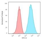 HLA-DRB (MHC II) Antibody in Flow Cytometry (Flow)