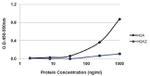 Mouse IgG, IgM (H+L) Secondary Antibody in ELISA (ELISA)