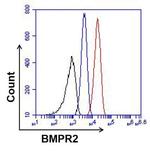 Mouse IgG Isotype Control in Flow Cytometry (Flow)