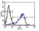 Mouse IgM Secondary Antibody in Flow Cytometry (Flow)