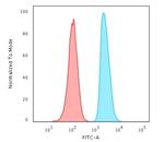 APEX Nuclease I Antibody in Flow Cytometry (Flow)