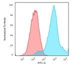 HSP27 (Heat Shock Protein 27) Antibody in Flow Cytometry (Flow)