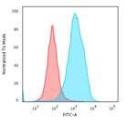 HSP60 (Heat Shock Protein 60) (Mitochondrial Marker) Antibody in Flow Cytometry (Flow)