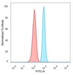 ZNF81/Zinc finger protein 81 (Transcription Factor) Antibody in Flow Cytometry (Flow)