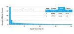 IGFBP3 Antibody in Peptide array (ARRAY)