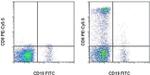 CD8a Antibody in Flow Cytometry (Flow)