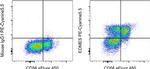 EOMES Antibody in Flow Cytometry (Flow)