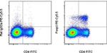 FOXP3 Antibody in Flow Cytometry (Flow)