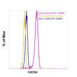 CXCR4 Antibody in Flow Cytometry (Flow)