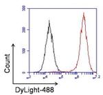 Rabbit IgG (H+L) Secondary Antibody in Flow Cytometry (Flow)