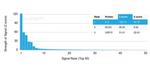 Interleukin-3 (IL-3) Antibody in Peptide array (ARRAY)