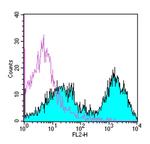 MHC Class II (I-A/I-E) Antibody in Flow Cytometry (Flow)